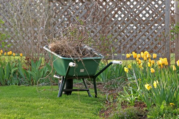Flower Bed Cleanup Service in Sioux Falls