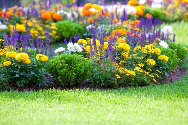 Flower Bed Maintenance in Sioux Falls