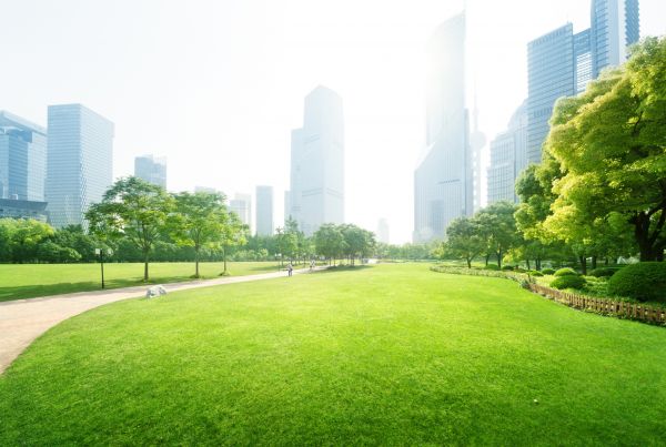 Commercial Landscape Maintenance in Sioux Falls