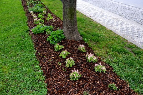 Mulch Replacement Service in Sioux Falls