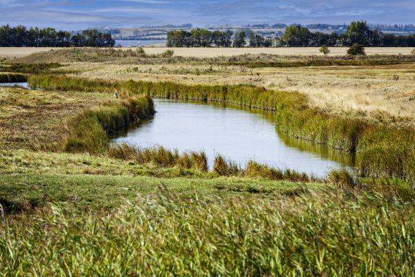 Swale Landscaping in Sioux Falls