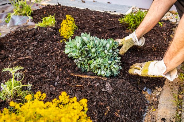 Weeding And Mulching in Sioux Falls