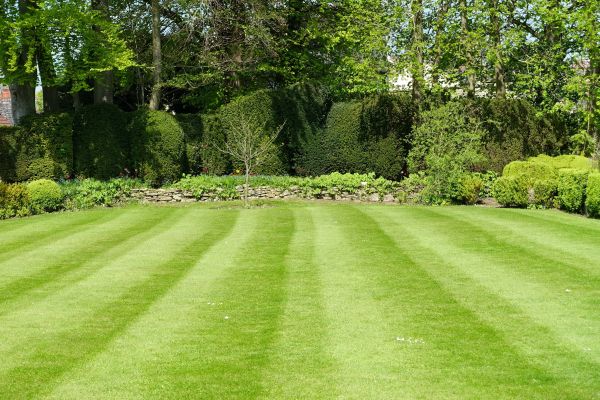 Lawn Renovation in Sioux Falls