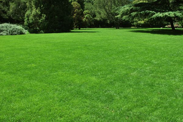 Lawn Landscaping in Sioux Falls