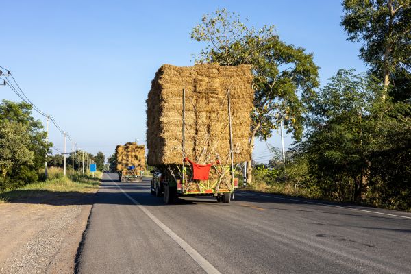 Pine Straw Delivery in Sioux Falls
