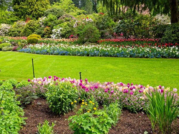 Residential Landscape Design in Sioux Falls