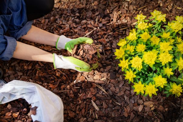 Pine Bark Mulch Installation in Sioux Falls
