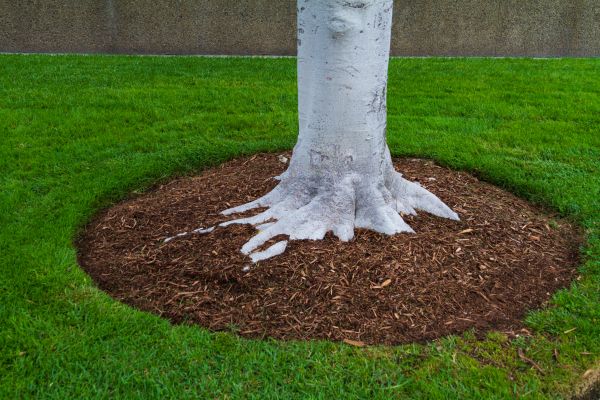 Brown Mulch Installation in Sioux Falls