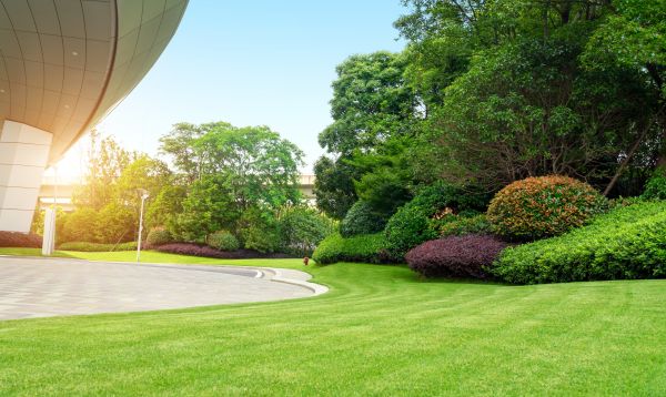 Business Landscape Design in Sioux Falls