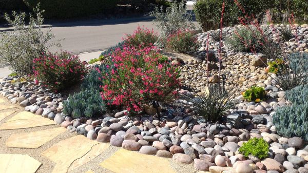 Xeriscape Landscaping in Sioux Falls