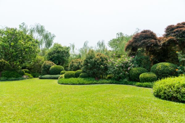 Tree Landscaping in Sioux Falls