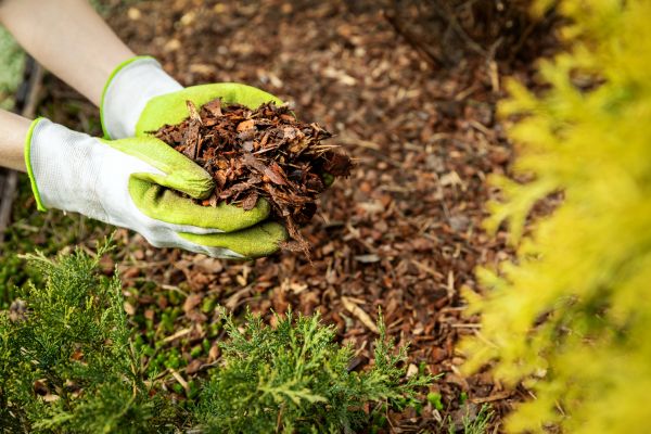 Garden Mulch Delivery in Sioux Falls