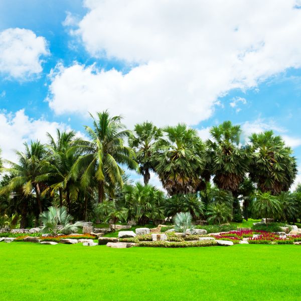 Tropical Landscaping in Sioux Falls
