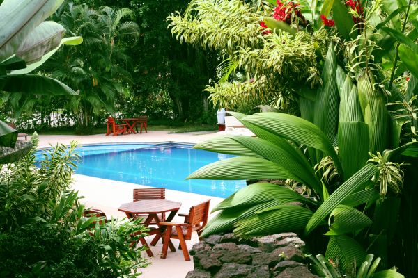 Tropical Garden Landscaping in Sioux Falls