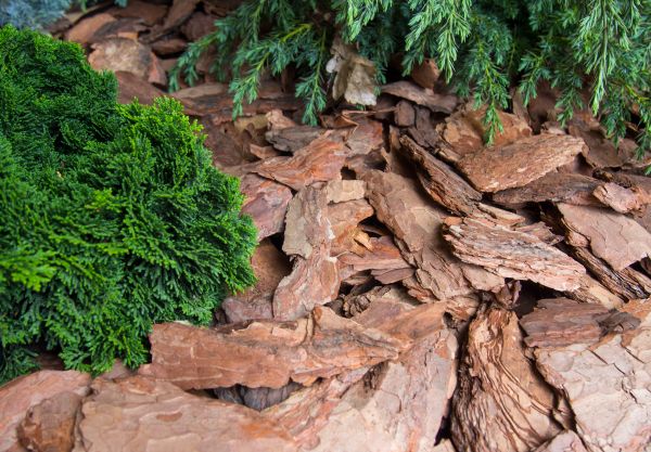 Pine Bark Installation in Sioux Falls