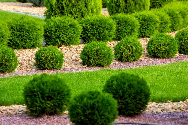 Bush Installation in Sioux Falls