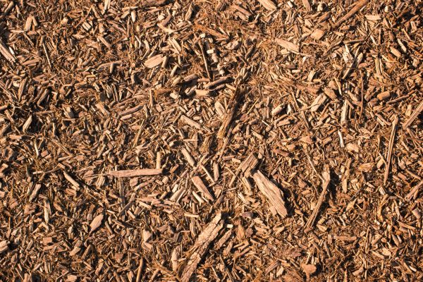 Wood Chips Removal in Sioux Falls