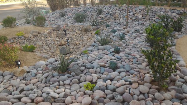 Yard Xeriscaping in Sioux Falls