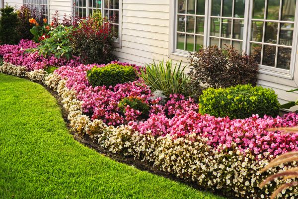 House Landscaping in Sioux Falls
