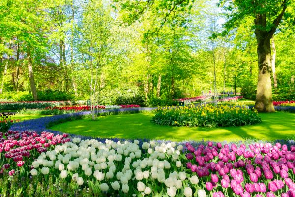Flower Landscaping in Sioux Falls