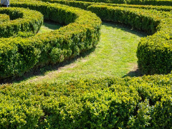Bush Landscaping in Sioux Falls