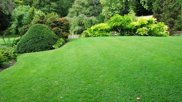 Commercial Landscape Design in Sioux Falls