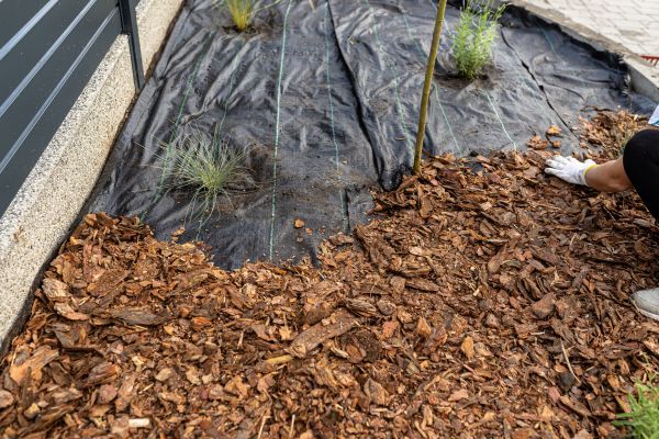 Pine Bark Spreading in Sioux Falls