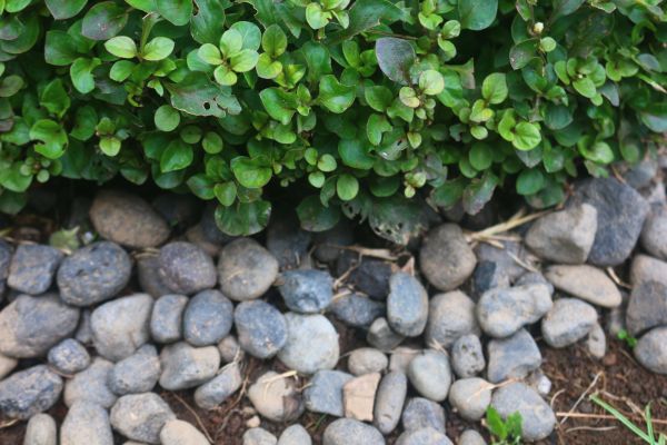 River Stone Installation in Sioux Falls