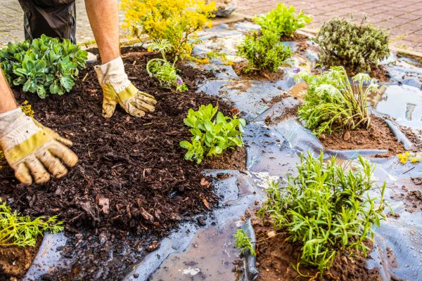 Mulch Fabric Installation in Sioux Falls