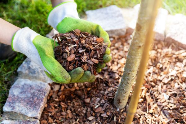 Tree Bark Delivery in Sioux Falls
