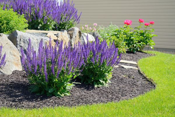 Landscape Planting Service in Sioux Falls