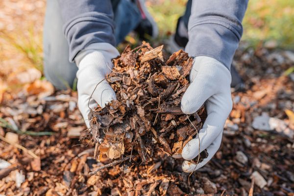 Shredded Mulch Installation in Sioux Falls