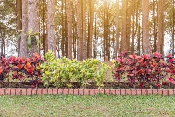 Small Garden Landscaping in Sioux Falls