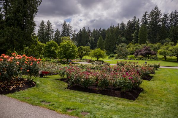 Flower Garden Landscaping in Sioux Falls
