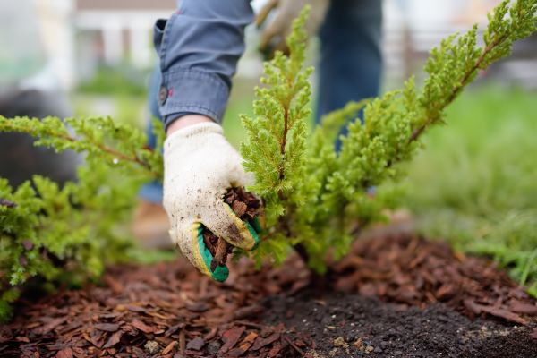 Church Mulching in Sioux Falls